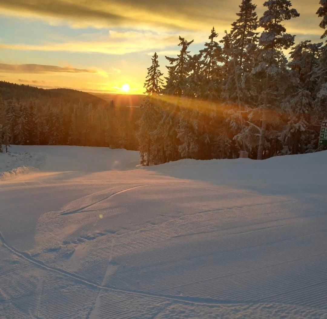 Myntloftet med inglasad bubbelbad och bastu Borlänge Exteriör bild