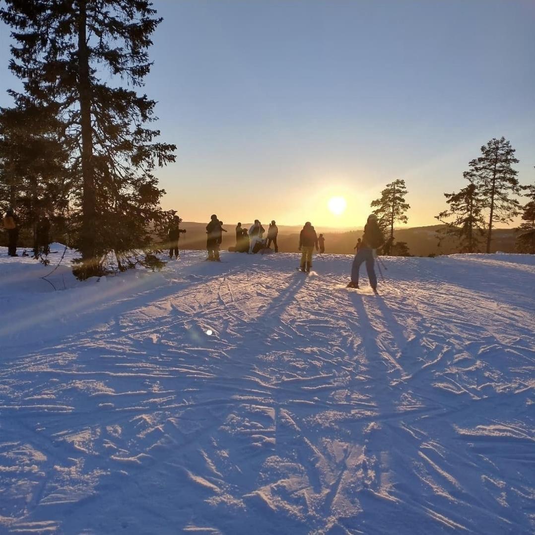Myntloftet med inglasad bubbelbad och bastu Borlänge Exteriör bild